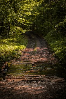 如何建立高效的學習計劃并提高學習效果