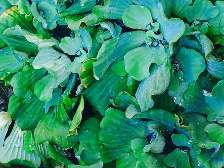 小孩子心不在焉沒心讀書是為什么