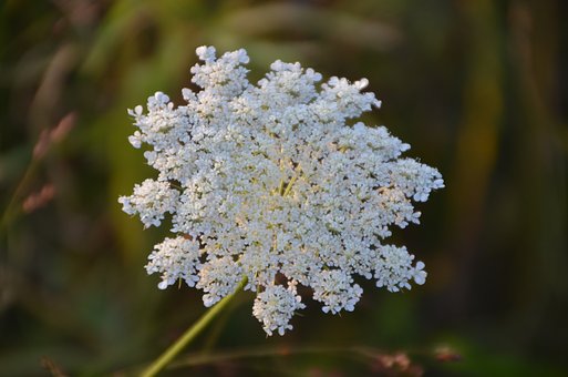 ���꼉���Ӳ� Ԓ��ô����