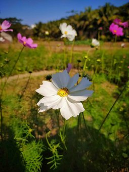幫助孩子克服厭學情緒:關注學習和情感的綜合措施
