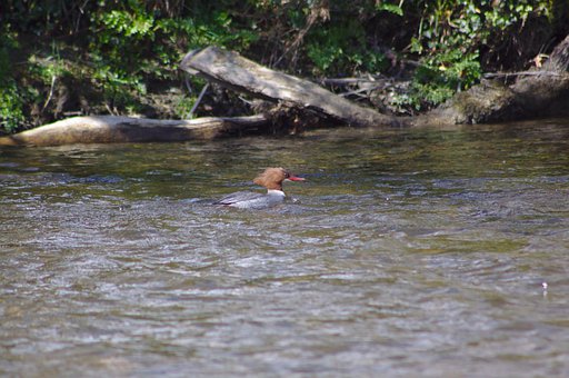 �������e�������I���Lԓ��Ό�����