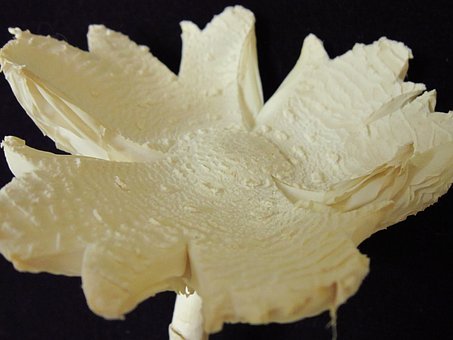 ���Rδ�ӼZ�����У���W�����ҽ���νo���L��һ���õĵ�һӡ��