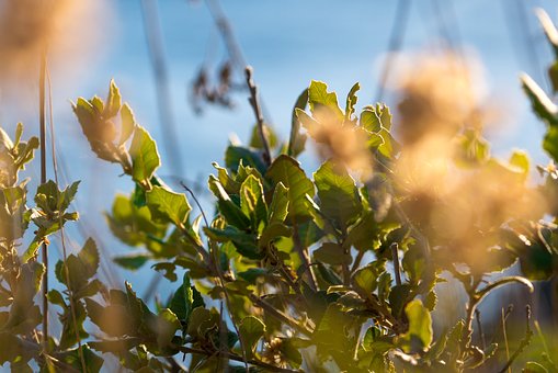 ������������ĺ��������L��ԓ��Α�����