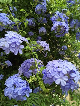 12歲女孩不聽話叛逆怎么教育