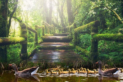 ���ӳɿ�ͻȻ�½��н��]�Y