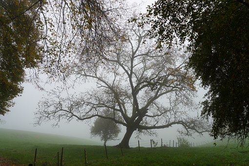 中考生必看:中考考試超常發揮的10大技巧