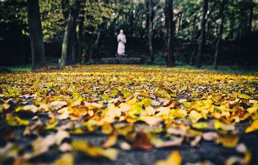 15qСŮՄِ(i)˸ĸôk