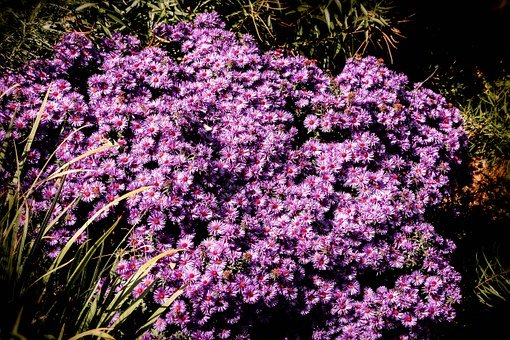 ��ĸҪ׌�����ں����ЌW�����ҹ���