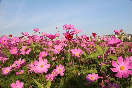 孩子不聽話揪了她耳朵要緊嗎