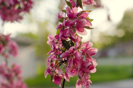 ӲͲ (tng)ԒL(zhng)_(do)ጷؓ(f)w