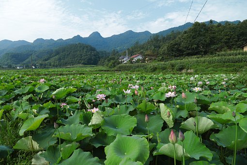 如何幫助小學六年級的孩子更好地處理學習和生活