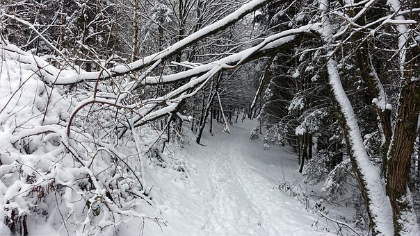 如何提高初三生學習成績