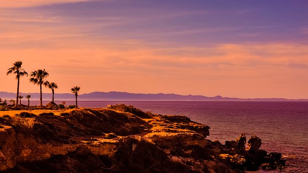 ���ӳɿ�ͻȻ�½�,��ĸԓ��ôȥ������