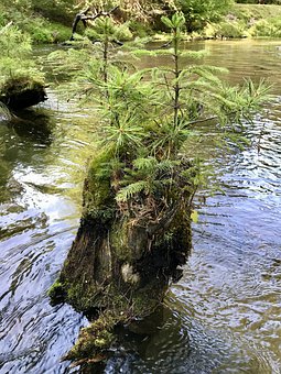 一年級學生厭學怎么辦