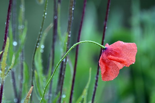 С�W�D�W�����ӵ�����