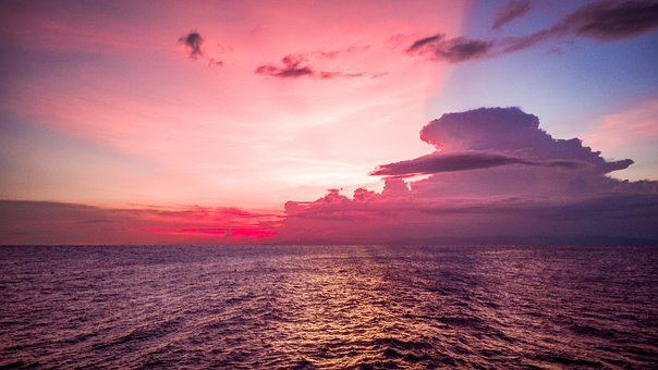 ����ָ�c(di��n)���п���������ֲ���