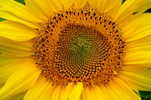 不服氣的孩子怎么教育