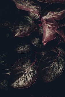 三年級孩子上課注意力不集中怎么辦原因