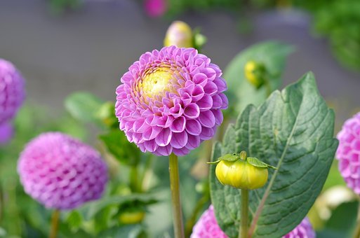 孩子如何點燃學習熱情,不再拖拖拉拉?