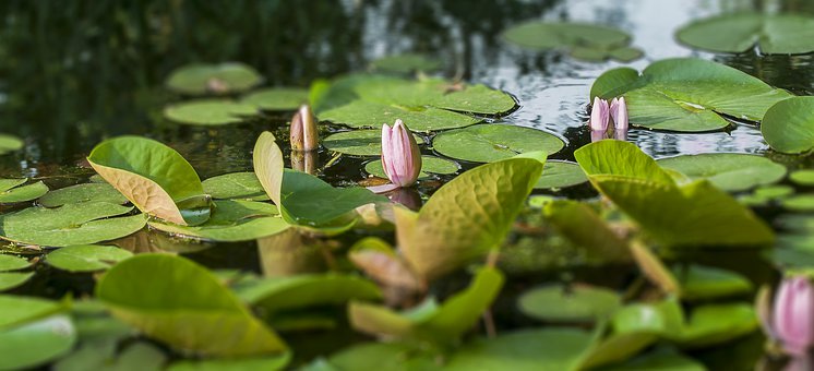 Ů������ٵ��E����ô�_��