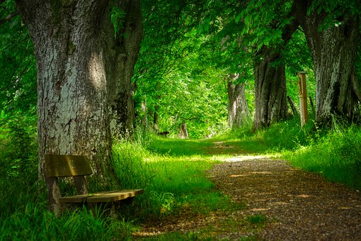 對逆反期的孩子正確的教育方法