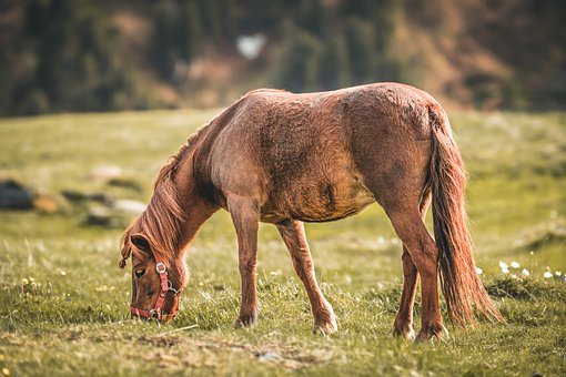 ���ӳɿ��½�Ҫ��ô���ώ�����