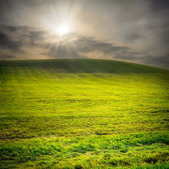 解析:“211工程”大學(xué)不一定都在一批本科錄取