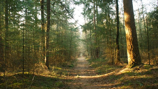 孩子作業粗心大意要怎么糾正
