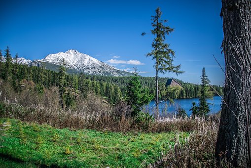 ��Α��������ڵĺ��Ӳ����όW