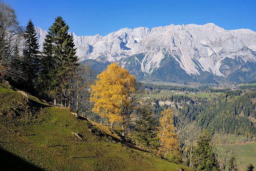 孩子總是偷偷玩手機怎么辦