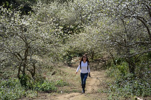 高三男孩不想上學家長怎么辦