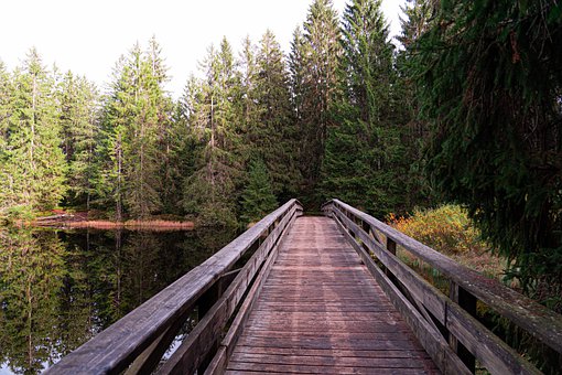 12�q����������Ƣ�Ⱪ����ô����