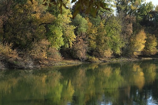 孩子叛逆期不愛學習怎么辦