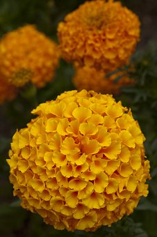 �п����W�_�̲����c����