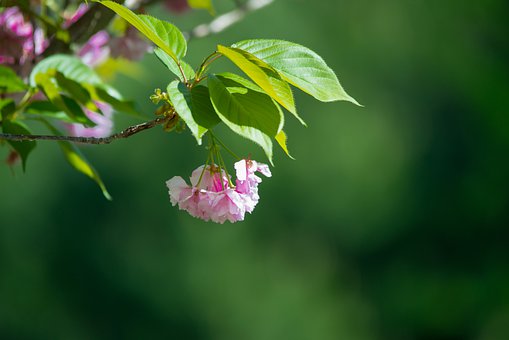 �����������֙C���W��ô�k