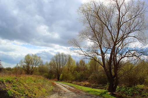 北京高考新方案 有人歡喜有人愁