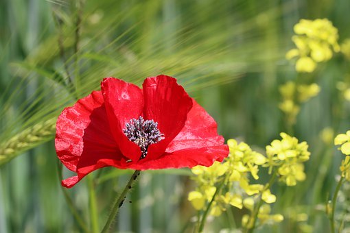 Ո(q��ng)�ҽ��м��Lԓ��ô�ͼҽ��ώ��໥��ϣ�