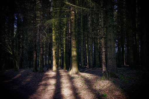 �����όW���_���������@Щԭ�򣬎�TA�߳��͹�