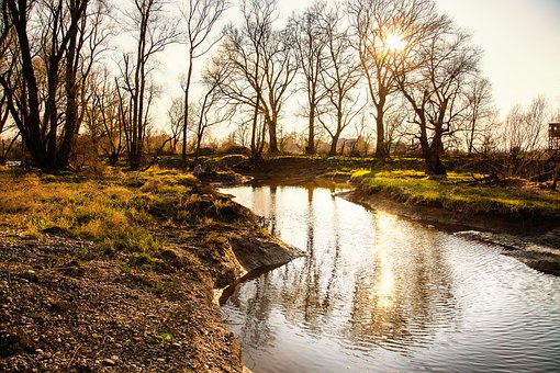 [2009�п�]����ʡ��ʾ�������ȡ������