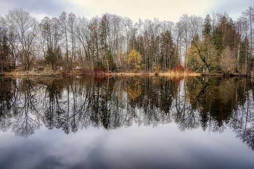 孩子犟脾氣不服軟的原因
