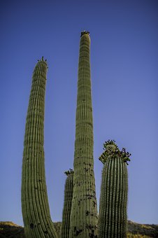 ����С���� Ԓ��ô�k