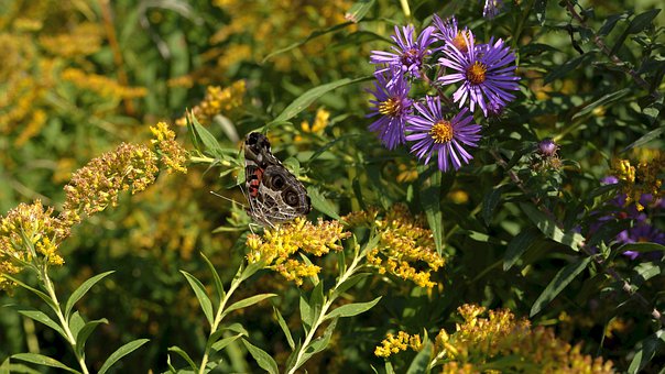 應對初中女生叛逆期的方法