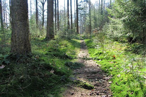 孩子的心理健康的建議