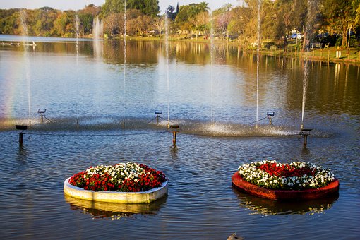 ����ָ��(d��o)����ͥ�����е�7��(g��)����̖