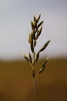 高三數學沖刺階段復習策略:切忌盲目做題