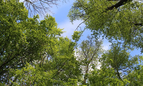 初二物理學(xué)不好怎么辦