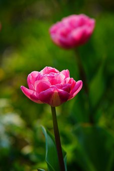 學(xué)生不想上學(xué)的原因及應(yīng)對(duì)方法