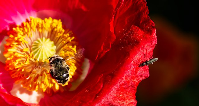 英語美文:足夠相信自己, 成功的秘訣其實并不深奧