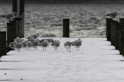 高一學(xué)生周末玩手機(jī)問題的解決方法
