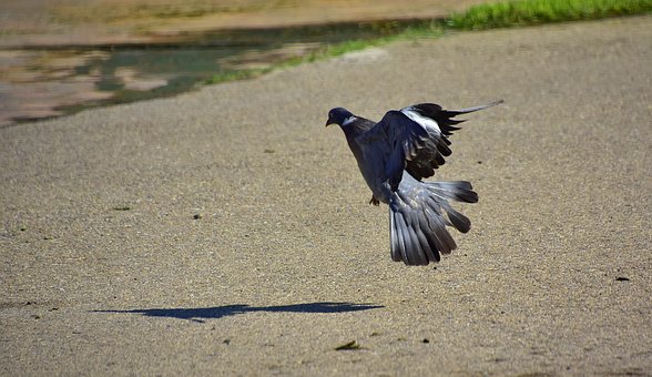 ����ͨ�^(gu��)����ٿ���(j��)